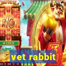 vet rabbit